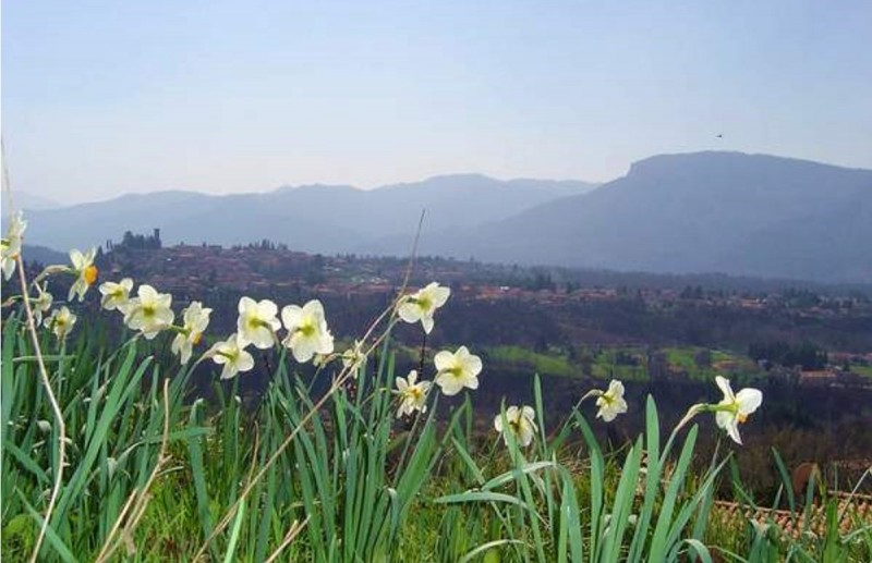 trebbio out10 trebbio out10