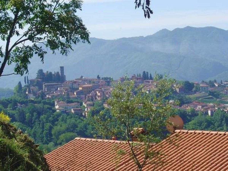 trebbio out11 trebbio out11