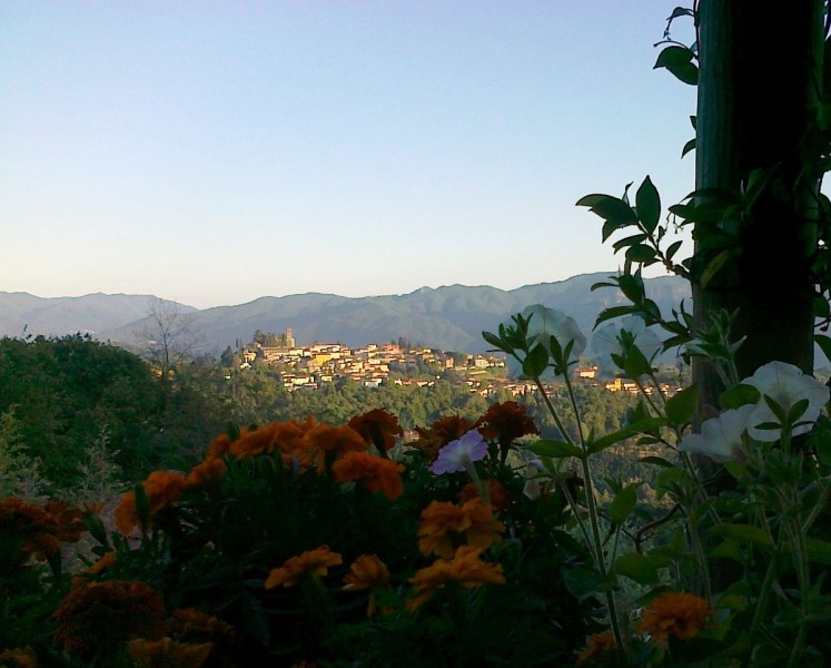 trebbio out2 trebbio out2