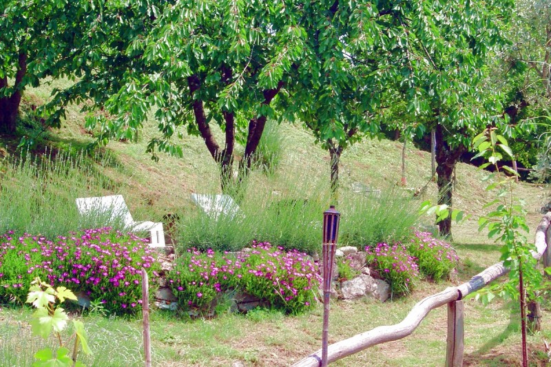 trebbio out21 trebbio out21