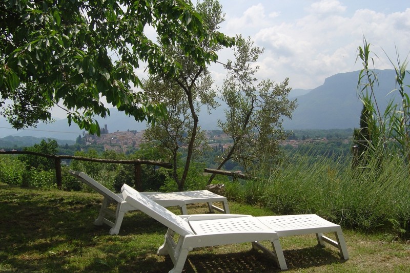 trebbio out23 trebbio out23