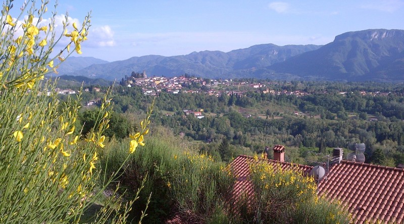 trebbio out26 trebbio out26