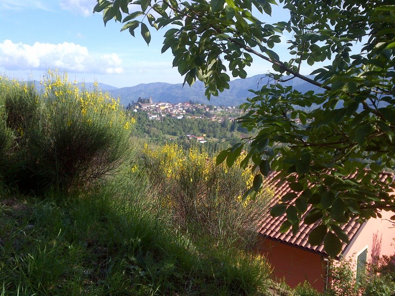 trebbio out27 trebbio out27