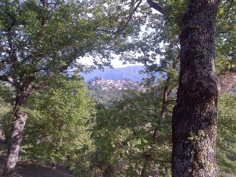 trebbio out29 trebbio out29