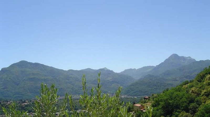 trebbio out3 trebbio out3