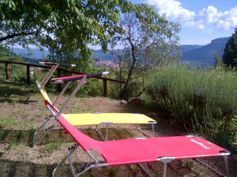 trebbio out34 trebbio out34