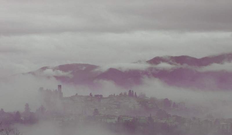 trebbio out4 trebbio out4