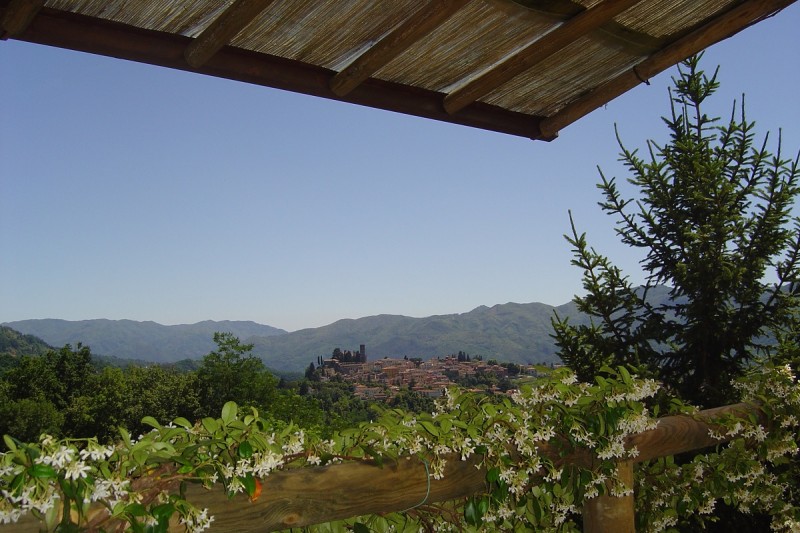 trebbio out6 trebbio out6