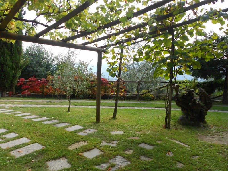 trebbio out9 trebbio out9